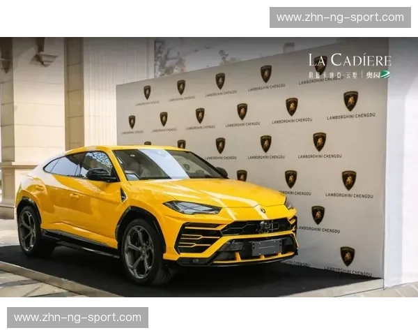 开云体育欧洲赛事：一站式极致观赛新体验